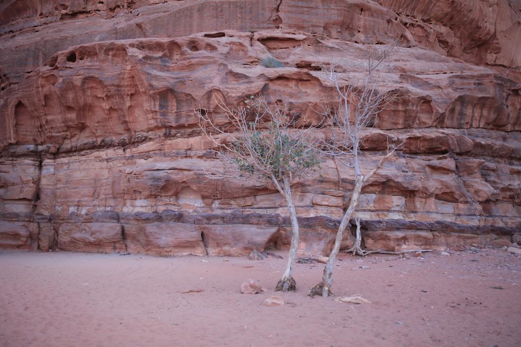 Bedouin Expedition Wadi Rum Exterior photo