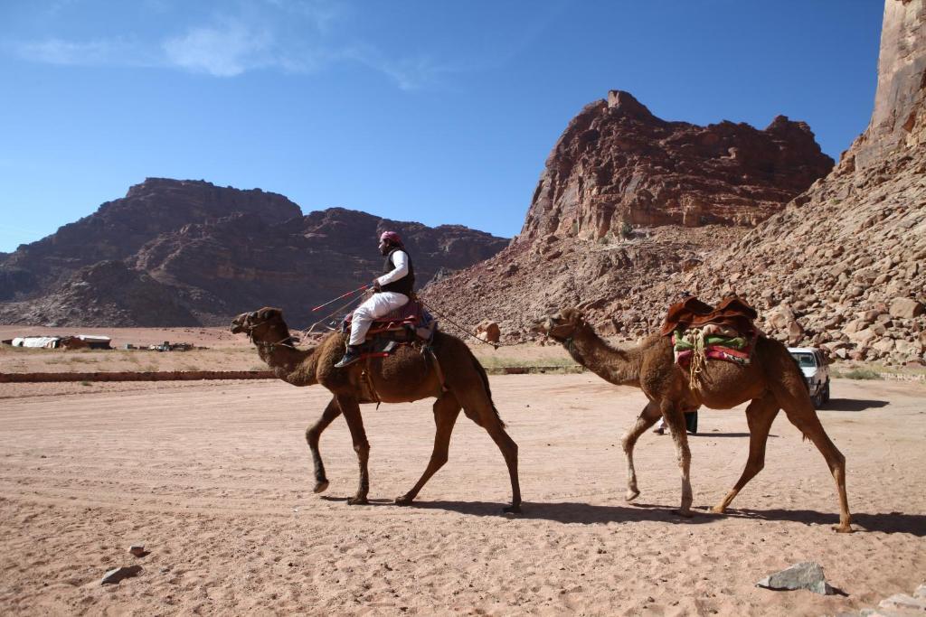 Bedouin Expedition Wadi Rum Exterior photo