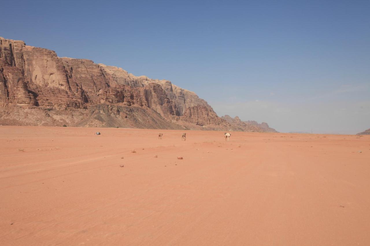 Bedouin Expedition Wadi Rum Exterior photo
